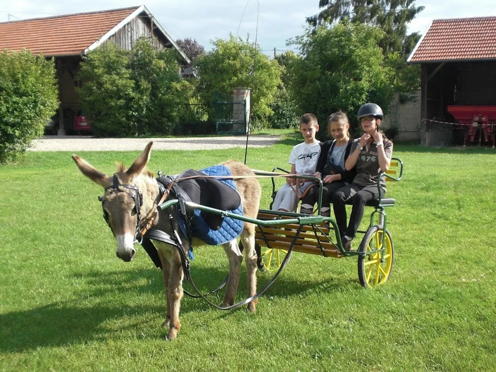 ferme pédagogique à Variscourt dans l’Aisne